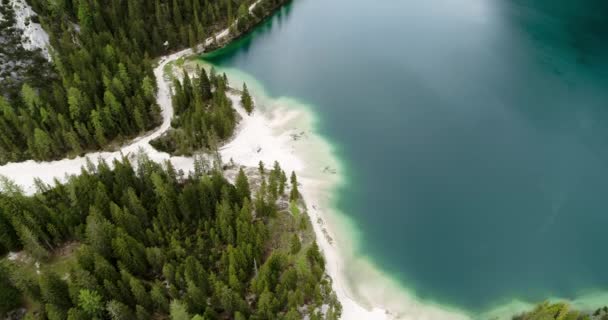 Luchtbergmeer Alpen Drone Uitzicht Vliegen Pijnbomen Lege Witte Stranden Italië — Stockvideo