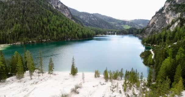 Repül Fehér Strand Fenyőfák Felé Braies Dél Tirol Népszerű Turisztikai — Stock videók
