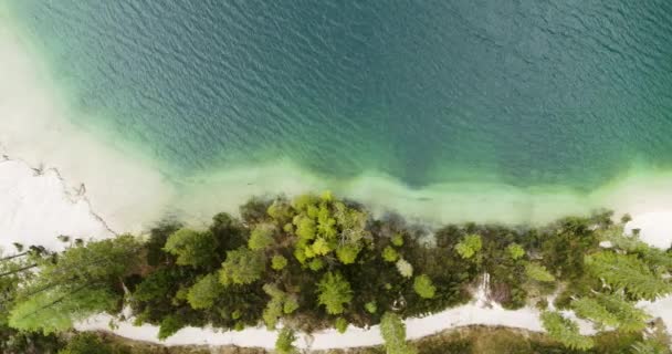 Lago Braies Från Ovan Flygstranden Och Kristallklart Orört Vatten Med — Stockvideo