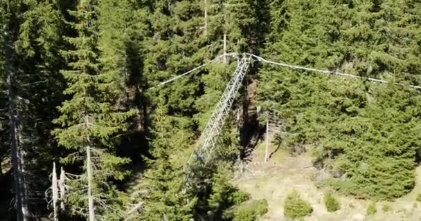 Bent Electricity Pole Forest Aerial Power Line Leaning Trees Storm — Stock Video