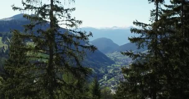 Aérea Selva Val Gardena Bolzano — Vídeo de stock