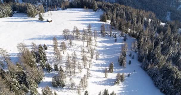 Beautiful Winter Landscape Alps Snow Covered Fields Forest Aerial View — Stock Video