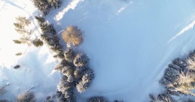 Alplerdeki güzel kış manzaraları, karla kaplı tarlalar ve ormanlar. Alp bölgesinin yukarıdan aşağıya kış manzarası. Doğadaki maceralar.