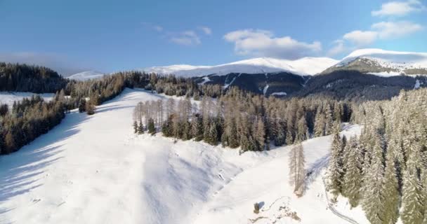 Kış Manzarası Karla Kaplı Alplerdeki Tarlaların Ormanların Üzerinde Uçuyor Yatıştırıcı — Stok video