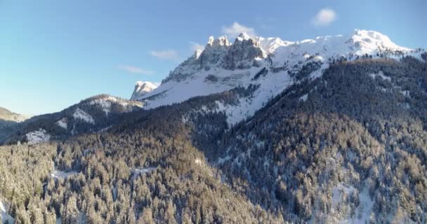 美丽的旅游胜地在山上俯瞰 冬季风景秀丽 高山高耸 森林覆盖着白雪 自然的平静或冒险 — 图库视频影像