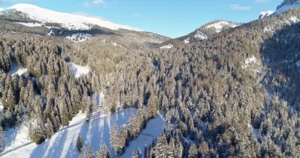 Χειμερινή Χώρα Θαύμα Χιόνι Κάλυψε Δάση Και Λόφους Εναέρια Τοπίο — Αρχείο Βίντεο
