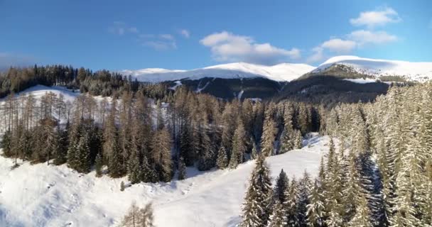 Piękny Powietrzny Krajobraz Drzewa Pokryte Śniegiem Słoneczny Dzień Błękitnym Niebem — Wideo stockowe