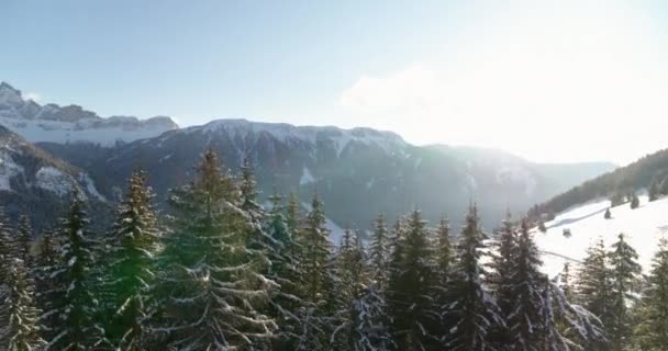 阿尔卑斯山中的空中风景 再生和充电自然界的能量 美丽的野性从上方看到南蒂罗尔 受欢迎的旅游胜地 探索和体验大自然 — 图库视频影像