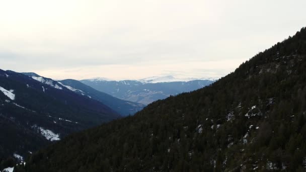 Вид Долини Альпах Зимовий Пейзаж Італії Прекрасний Ліс — стокове відео