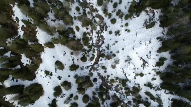 Luchtfoto Van Natuurlijke Rivier Prachtig Winterlandschap Van Bovenaf Gezien — Stockvideo