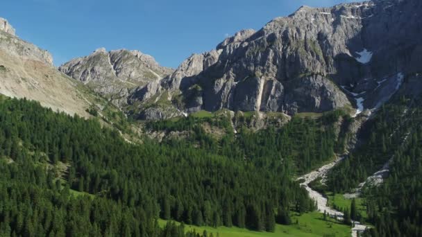 Terugtrekken Uit Bergen Antenne Prachtige Weiden Bossen Alpen — Stockvideo