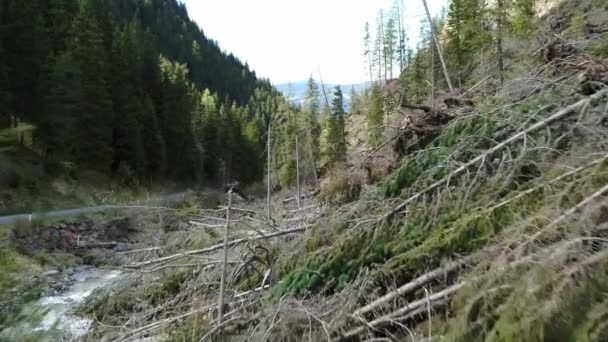 Alpler Rüzgarın Savurduğu Küçük Vadide Yıkılan Yok Edilen Ormanlar — Stok video