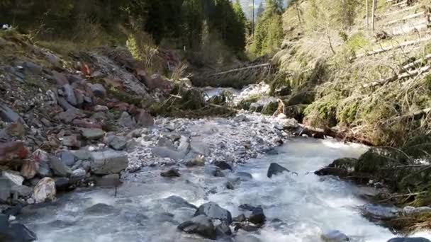 Εναέρια Του Μικρού Αλπικού Ποταμού Στην Ιταλία Ρέοντα Νερά Από — Αρχείο Βίντεο