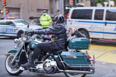 Manhattan, ABD - 11. Kasım 2021: Gaziler Günü Geçidi sırasında New York 'ta motosiklet sürücüsü. Motosikletli Motorcu