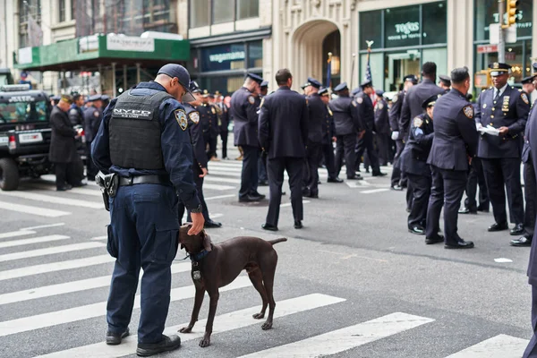 Manhattan Usa November 2021 Nypd Counterterrorism Officer Med Hund Veterans — Stockfoto