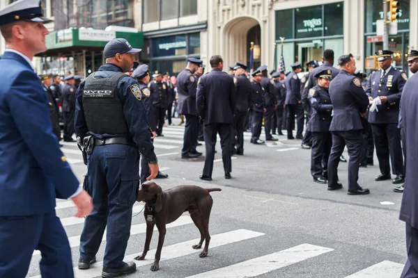 Мангеттен Сша Листопад 2021 Офіцер Поліції Нью Йорка Собакою Параді — стокове фото