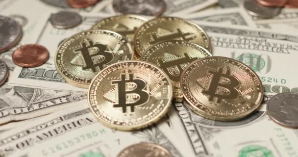 Dólar Bitcoin Comercio Moneda Digital Con Dinero Fiduciario Bitcoin Oro — Vídeo de stock