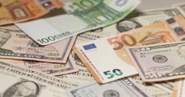 Birikmiş Euro ve Dolar banknotları, 50 Euro ve 50 Dolarlık banknotlar