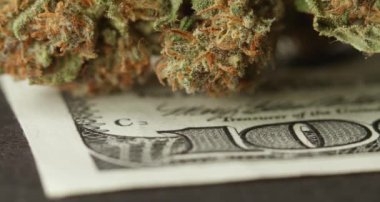 Kenevir tomurcuklu 100 dolarlık banknot. Uyuşturucu ve nakit. Yasadışı Uyuşturucu Konsepti Satın Alma