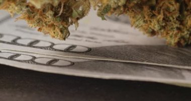 Kenevir Bud 100 dolar banknotun üstünde. Para ve Uyuşturucu kavramı