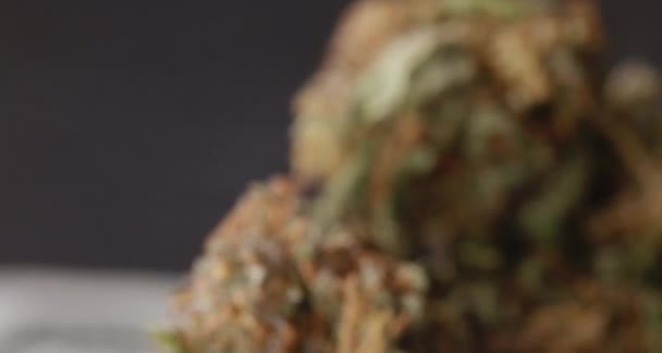 Квітка Каннабіса Хемпа 100 Доларів Сша Концепція Грошей Наркотиків — стокове відео