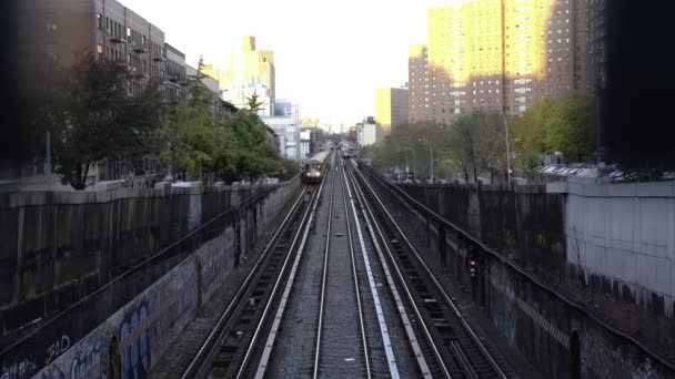 Jeden Pociąg Nowym Jorku Widokiem Metro Metro Mta Wchodzi Tunelu — Wideo stockowe