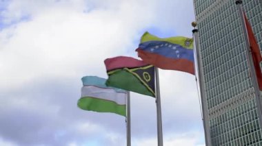 Venezuela ve Vanuatu bayrakları rüzgarda dalgalanıyor. Bayrakları sallayan bulutlu gökyüzü