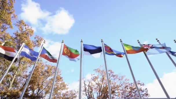 在纽约 旗帜在联合国门前迎风飘扬 爱沙尼亚 埃斯瓦蒂尼 埃塞俄比亚 厄立特里亚国旗 天空背景 — 图库视频影像