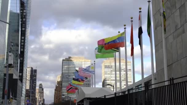 委内瑞拉 瓦努阿图 乌拉圭 在纽约联合国门前的旗杆上的国旗 旗帜在风中飘扬 坦赞尼亚旗 — 图库视频影像