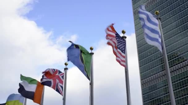美利坚合众国 坦桑尼亚和联合王国国旗迎风飘扬在纽约联合国大楼前 — 图库视频影像