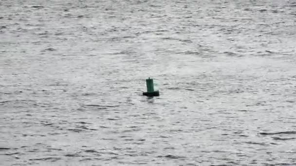Boya Mar Boya Verde Flotando Bahía Hudson — Vídeos de Stock