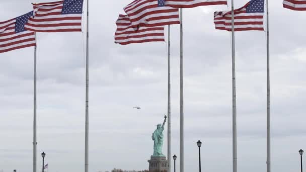 Place Drapeau Dans New Jersey Statue Liberté Arrière Plan Drapeaux — Video