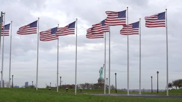국기가 바람에 나부끼고 자유의 여신상 배경에 있습니다 자유와 — 비디오