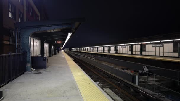 ペンシルベニア アベニュー駅 夜にニューヨークの高架地下鉄 地下鉄の列車が接近しドアが開く — ストック動画