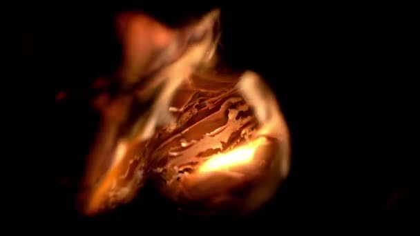 Palenie Papieru Tektury Zbliżenie Zużywającego Ogień Papieru Drewna Tektury — Wideo stockowe