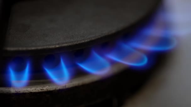 Methane Natural Gas Burning Closeup Blue Flames Heating Cooking Gas — Stock Video