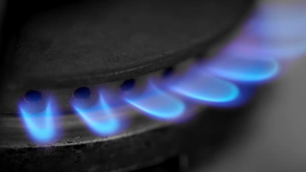 Primer Plano Extremo Quema Gas Natural Azul Llamas Azules Gas — Vídeo de stock