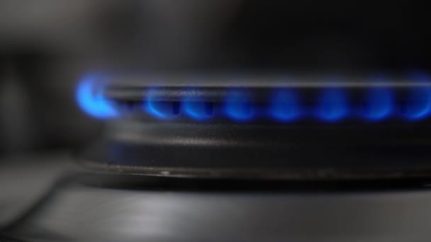 Vue Angle Bas Des Flammes Bleues Gaz Les Petites Flammes — Video