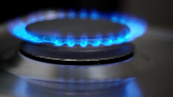 Closeup Bright Blue Natural Gas Fire Flames Heating Cooking Natural — Stock Video