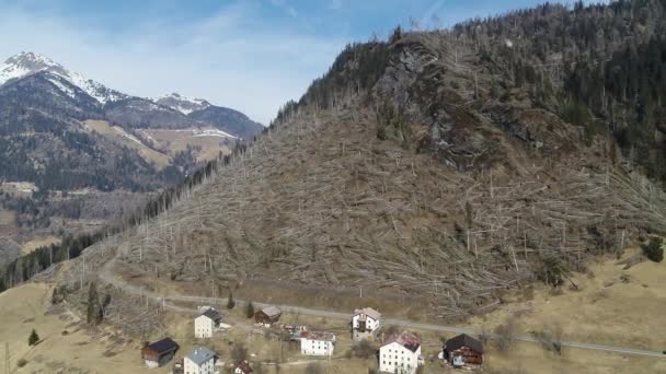 Luchtfoto Van Verwoest Bos Wind Beschadigde Bossen Alpen Geknepen Bomen — Stockvideo