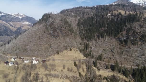 Lecąc Kierunku Upadłych Drzew Wzgórzu Niezwykłe Drzewa Alpach Burzy — Wideo stockowe