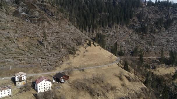 Árboles Rotos Desastre Ecológico Las Montañas Caída Inesperada Después Tormenta — Vídeo de stock