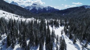 Alplerdeki ağaçların üzerinden uçuyor, kış manzarası Kış Harikalar Diyarı 'nın havası