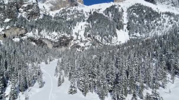 Летаю Над Верхушками Деревьев Итальянских Альпах Доломиты Зимой Эпический Пейзаж — стоковое видео