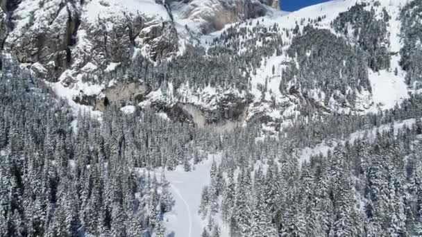 Flug Richtung Berge Den Dolomiten Winterlandschaft Schneebedeckte Bäume Und Berge — Stockvideo