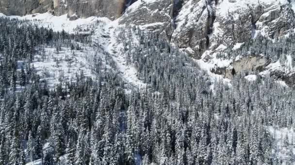 Εναέρια Χειμερινό Δάσος Στις Άλπεις Δέντρα Και Βουνά Που Καλύπτονται — Αρχείο Βίντεο