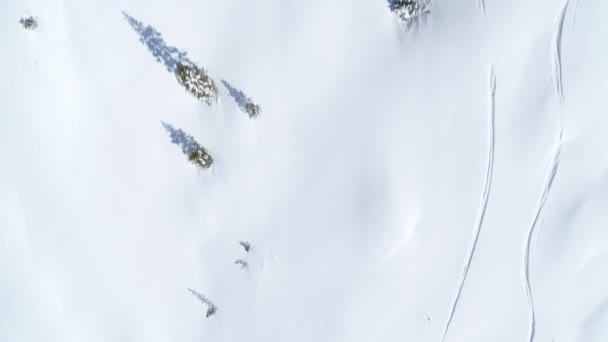 从上面看冬季的风景 空中的树木和高山上的滑雪场 — 图库视频影像