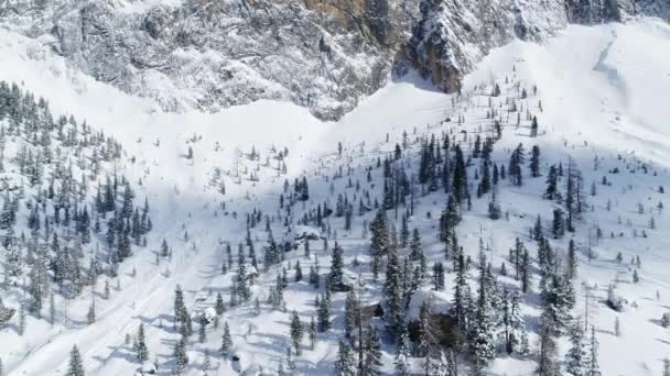 アルプスの巨大な山の底にある美しい木の冬の空中 — ストック動画
