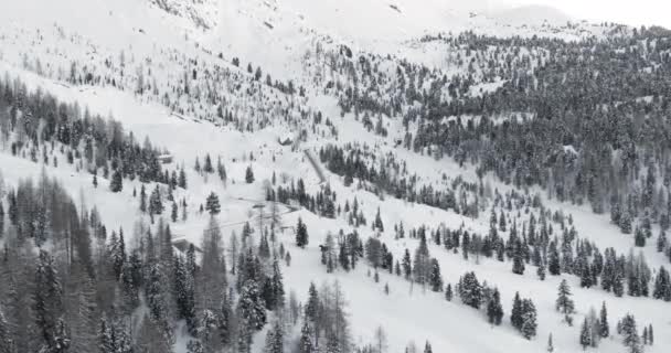 Breed Landschap Winter Met Sneeuw Bedekte Velden Bossen Alpen Skigebied — Stockvideo