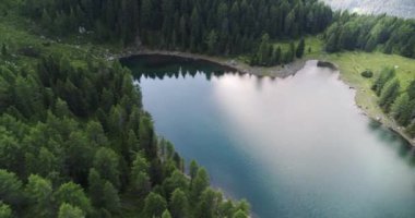 Ormanla çevrili güzel Alp Gölü 'nün havadan görünüşü. Dağ manzarasının yüksek açılı görüntüsü